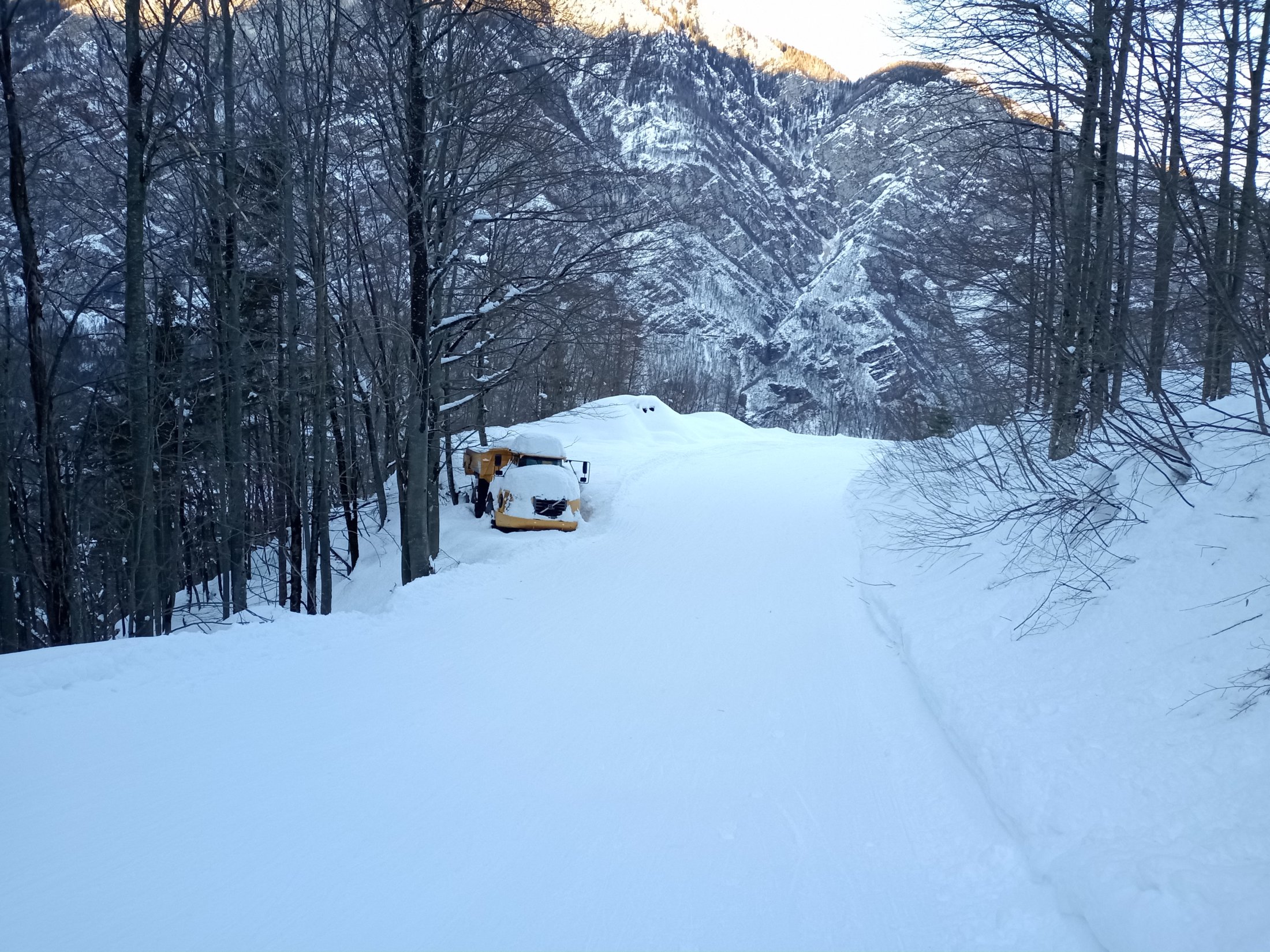 IMG 20211217 153717309