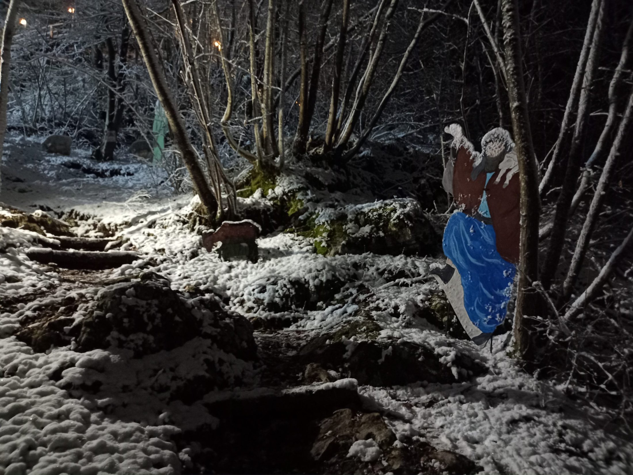 IMG_20220106_190650356