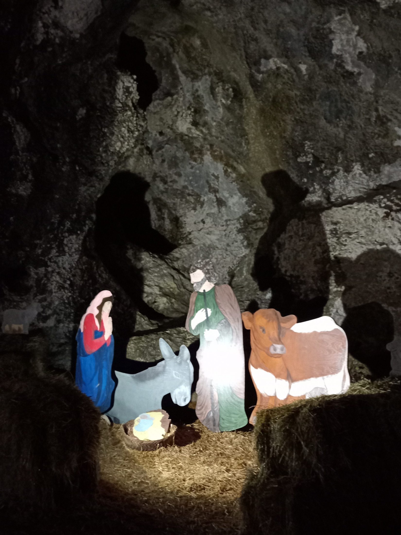 IMG_20220106_191031960