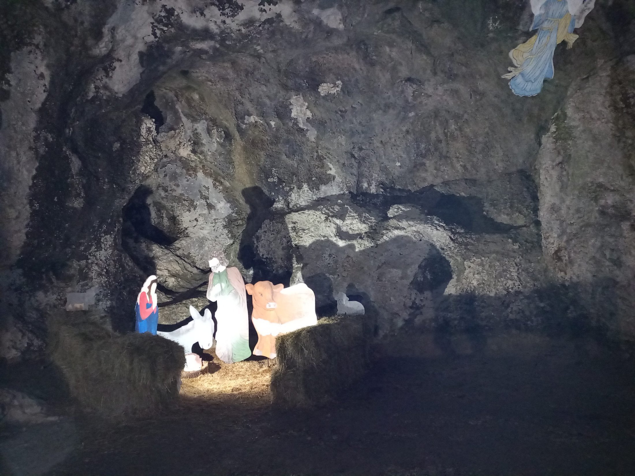 IMG_20220106_191223482