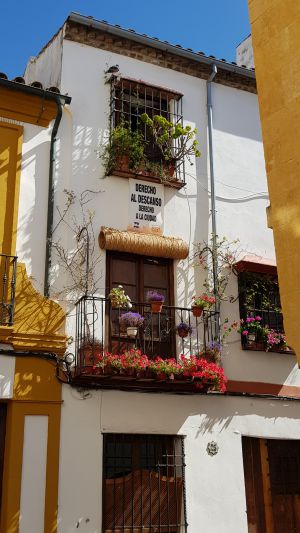 derecho al descanso derecho ala ciudad pravica do počitka pravica do mesta lokalnih prebivalcev