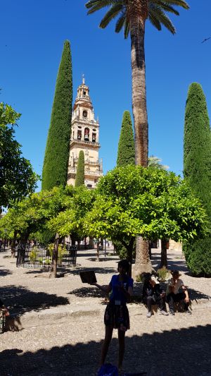 Vrtovi katedrale , naša vodička