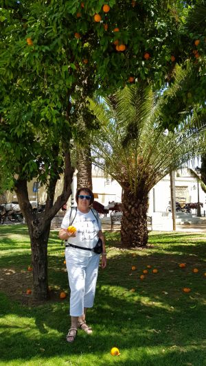 pomaranče v parku,oranges in the park
