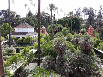 vrtovi , gardens in real alcazar de Sevilla