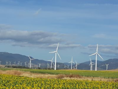 na poti v Ageceiras , on the wy to Algeceiras