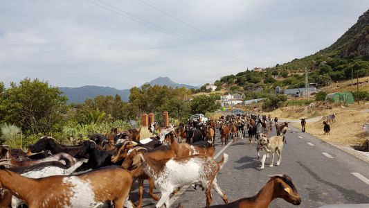 Na poti v Rondo, on the way to Ronda