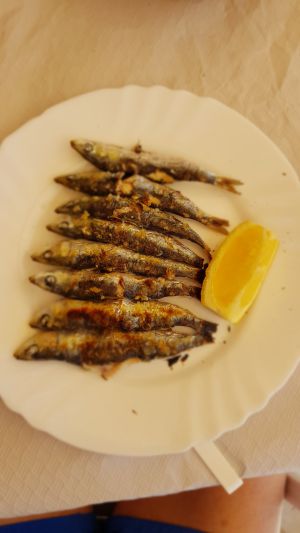 aspete , espetar las sardinas kot tudi ostale ribe