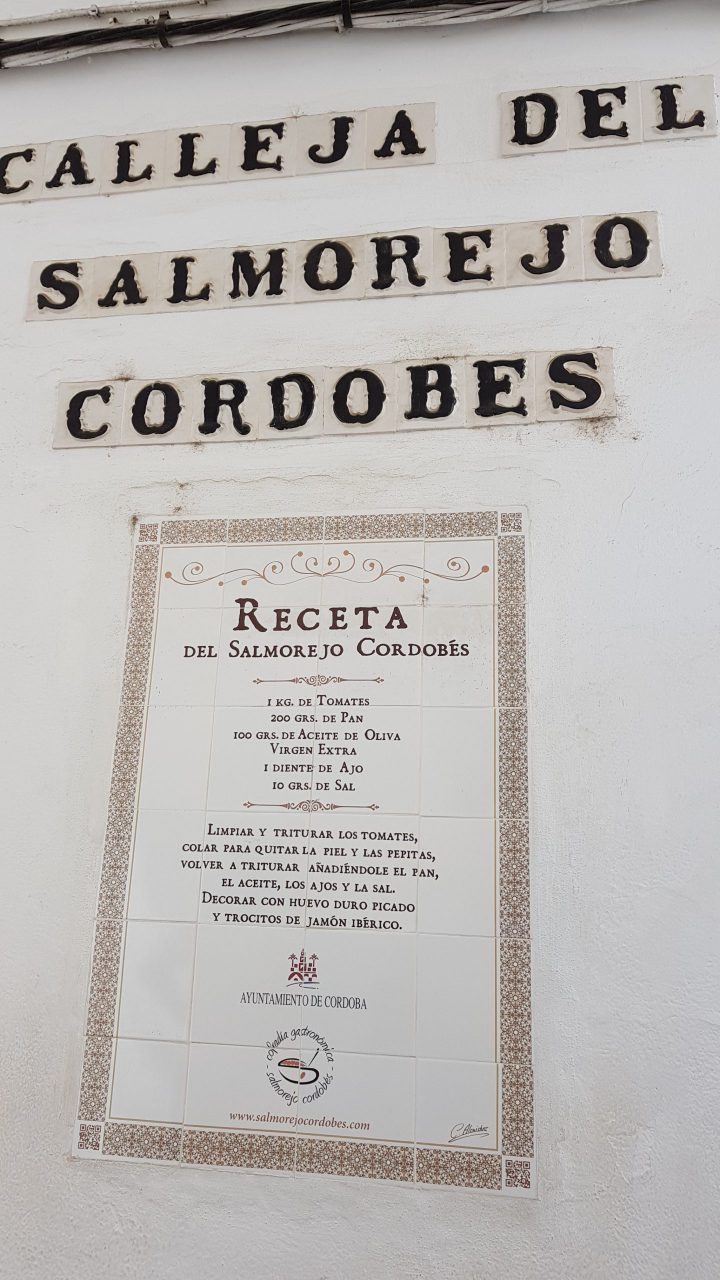 receta delsalmorejo