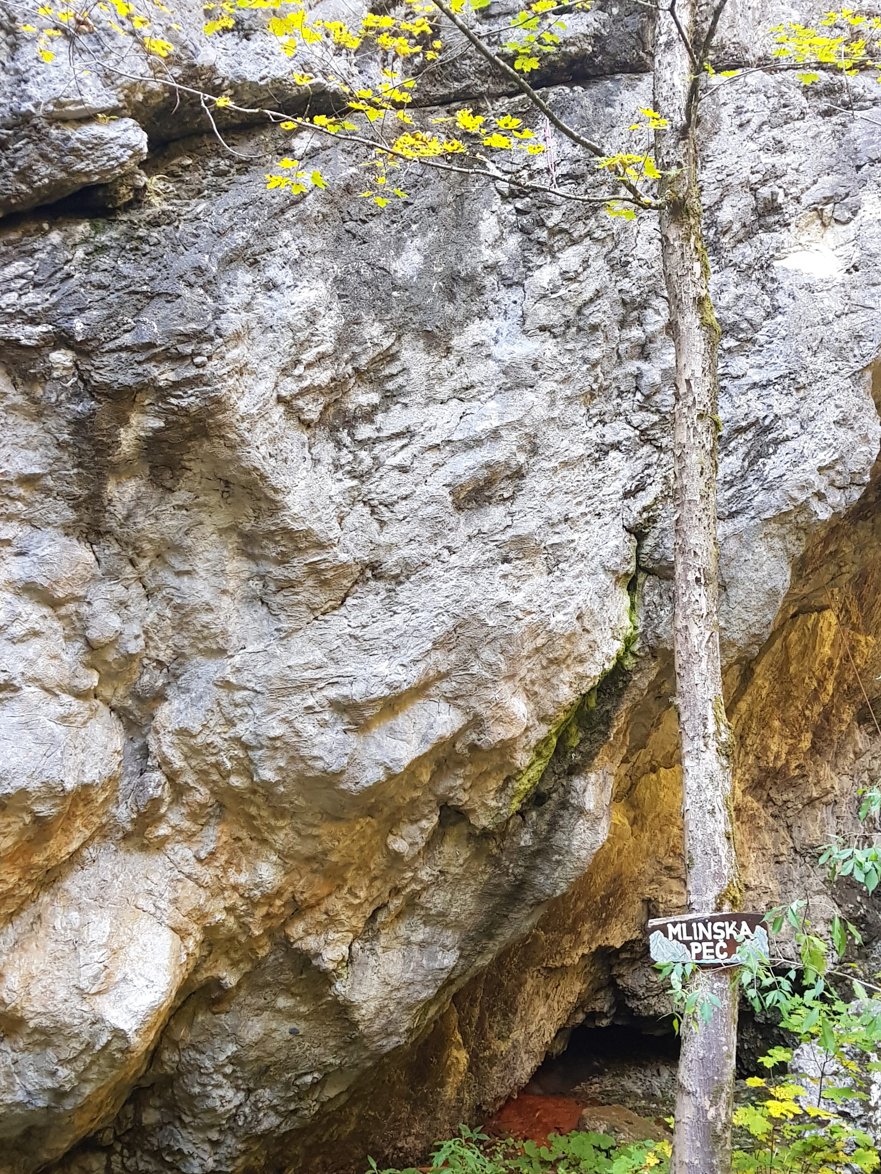 TRANS KARAVANKE na KOLESU – kolo – fotografija 19