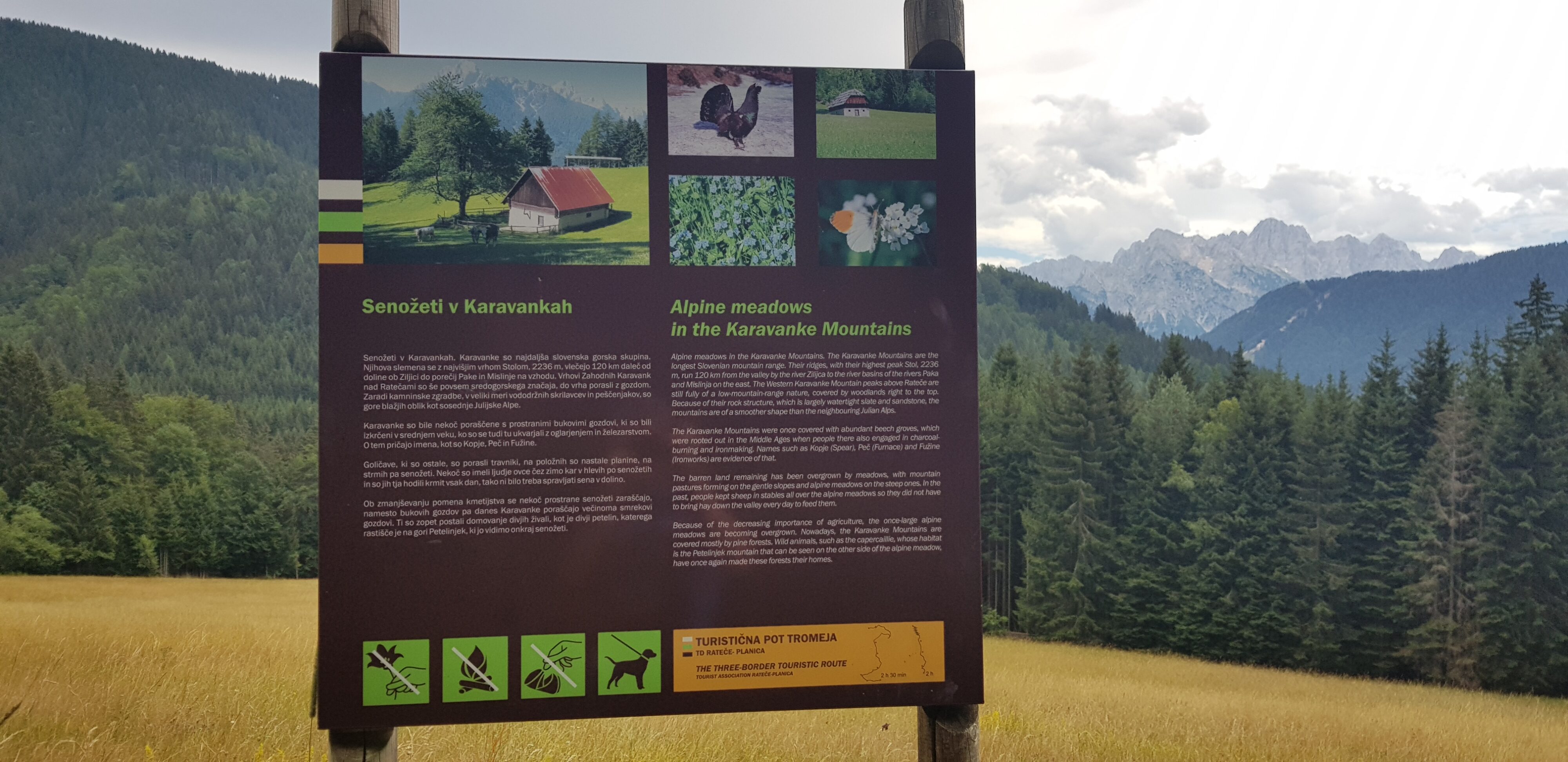 TRANS KARAVANKE na KOLESU – kolo – fotografija 28