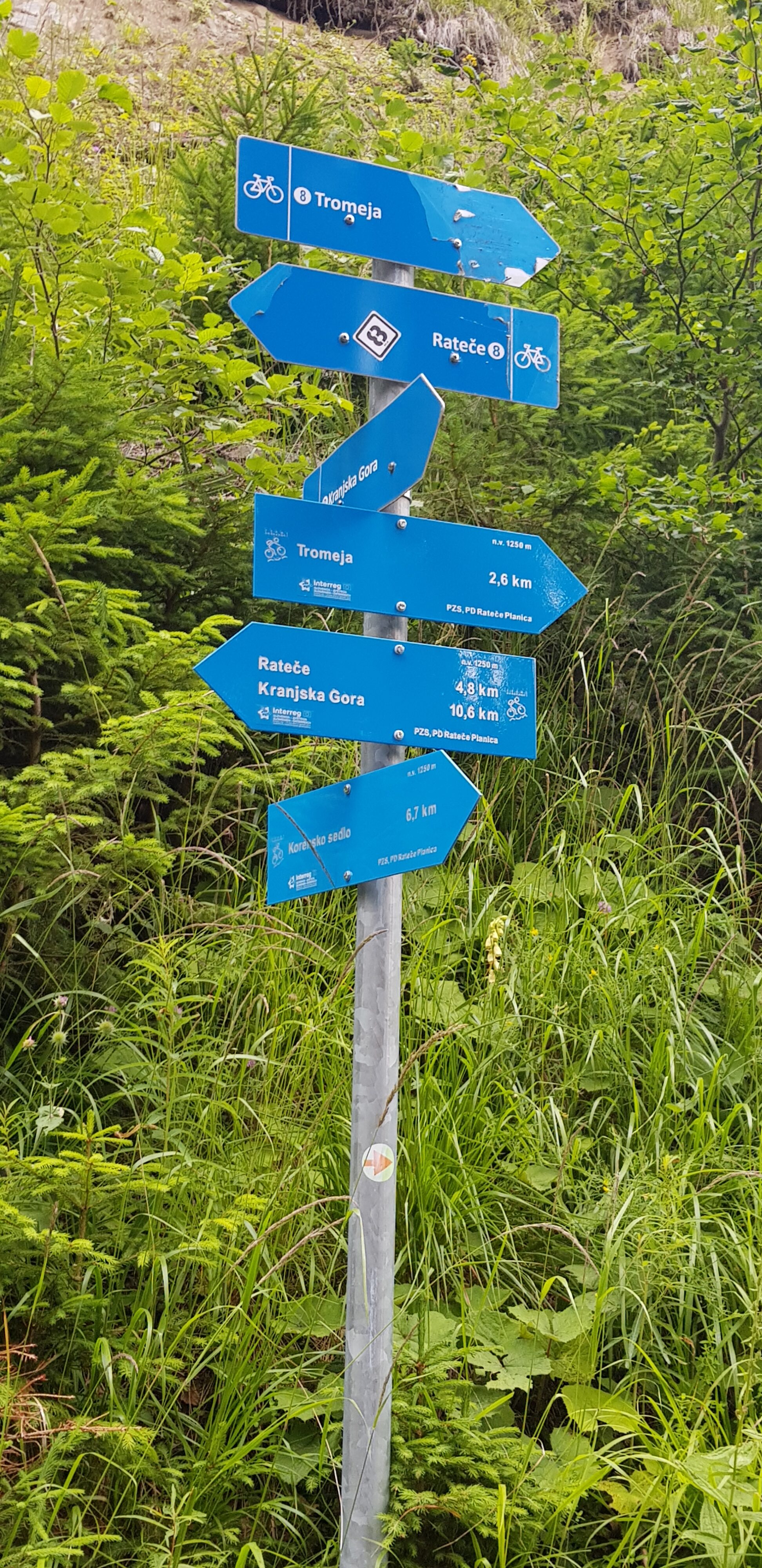 TRANS KARAVANKE na KOLESU – kolo – fotografija 27