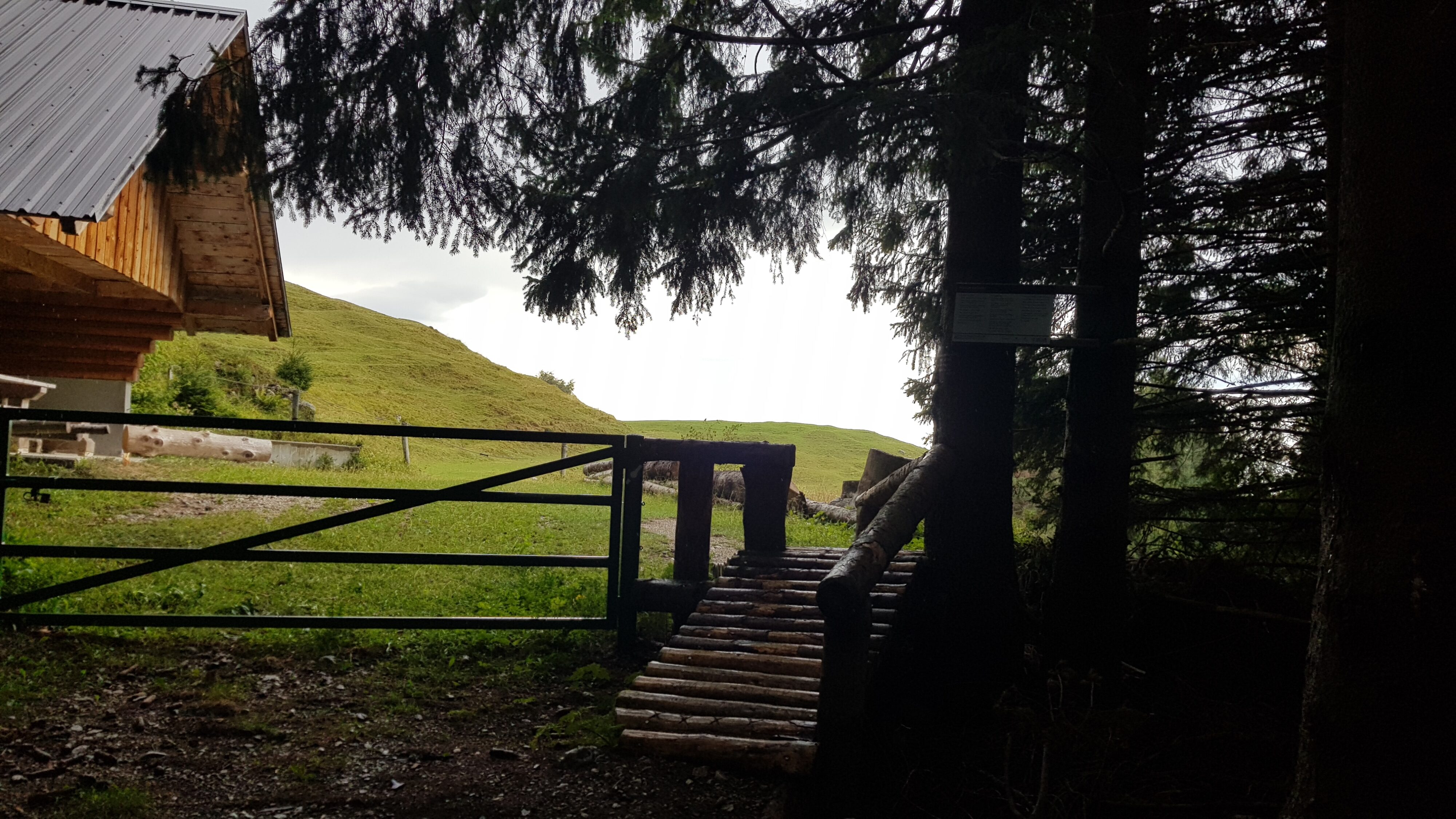 TRANS KARAVANKE na KOLESU – kolo – fotografija 50