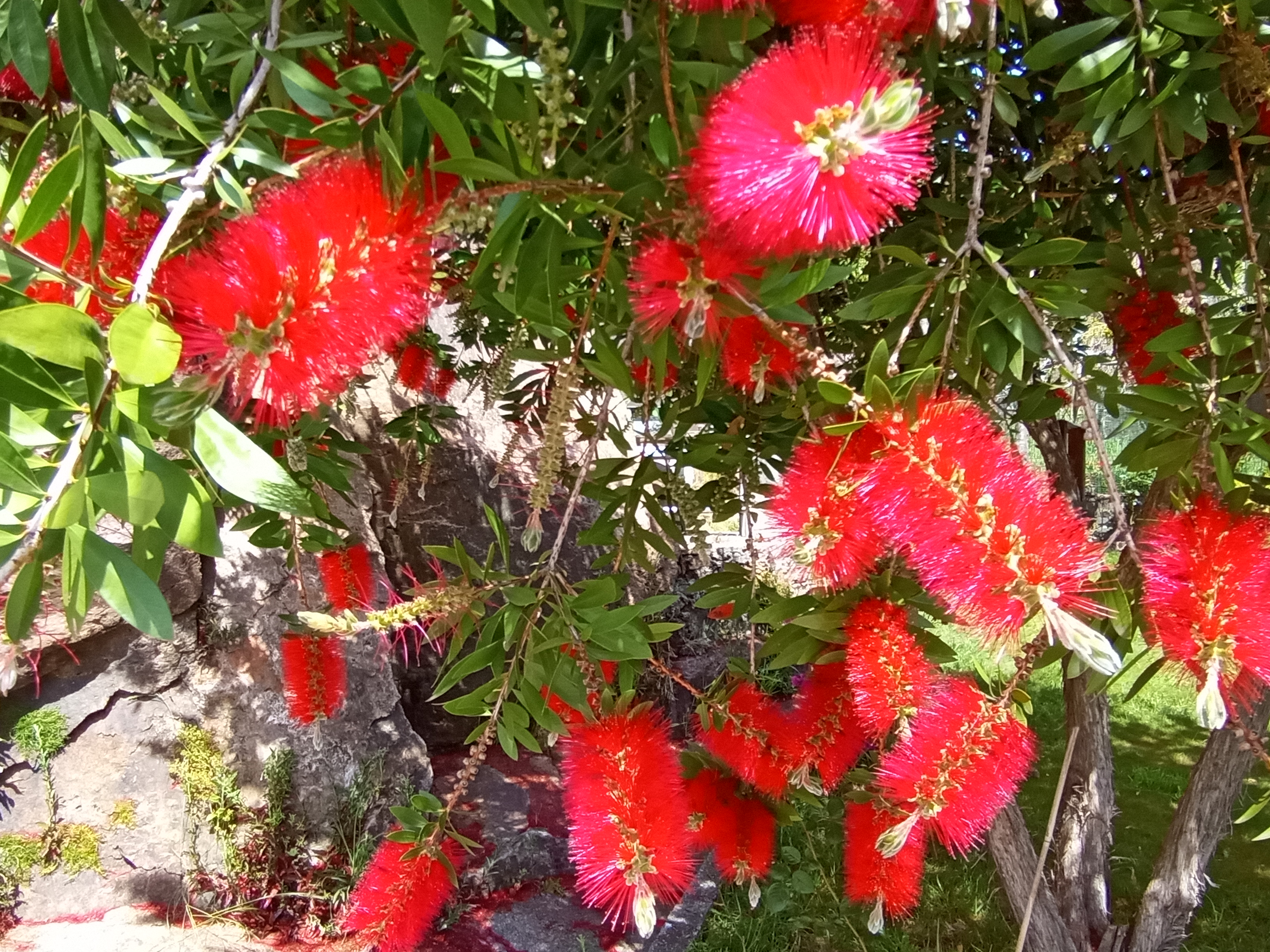 Severna Španija  z  bogato  zgodovino – potovanje – fotografija 82